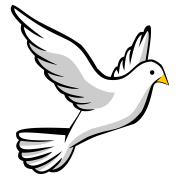 White Dove PNG Free Image