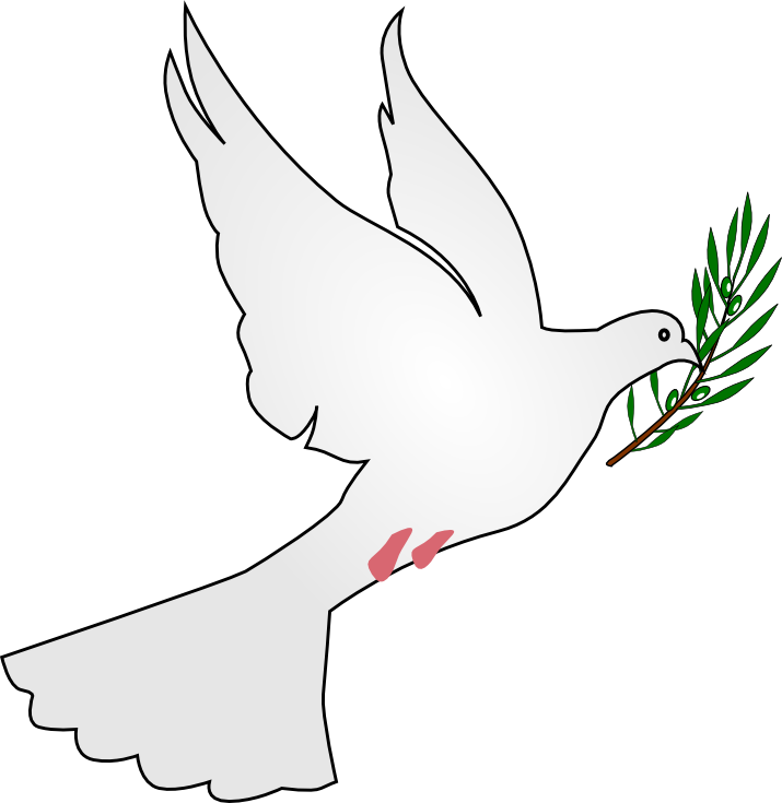 White Dove PNG Image HD
