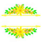 Yellow Flower PNG
