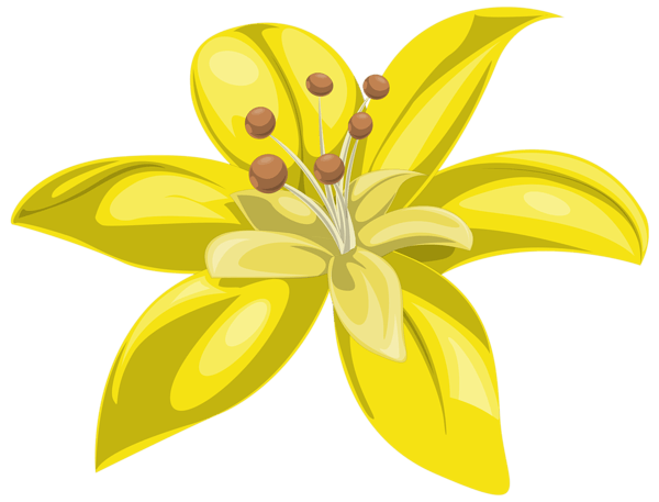Yellow Flower PNG Images HD