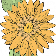 Yellow Flower Transparent