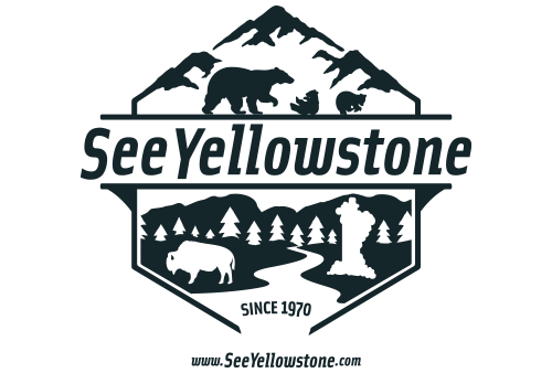 Yellowstone PNG Pic