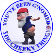 You’ve Been Gnomed PNG Images HD