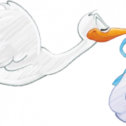 Animated Stork PNG