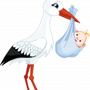 Animated Stork PNG Free Download