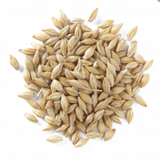 Barley Grain PNG Download Image