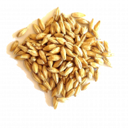Arpa tahıl PNG dosyası