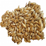 Gerste Grain PNG HD -Bild