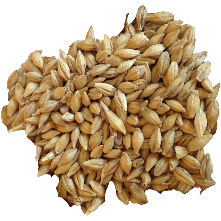 Barley Grain PNG HD Image