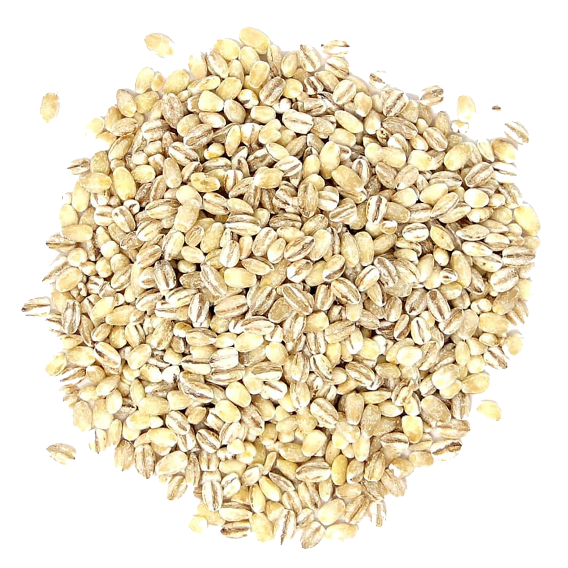 Barley Grain PNG Pic