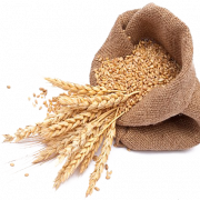 Barley PNG