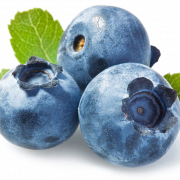 Blueberries PNG Download Image