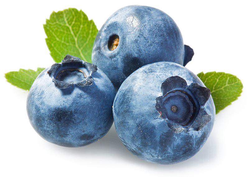 Blueberries PNG Download Image