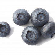 Blueberries PNG File