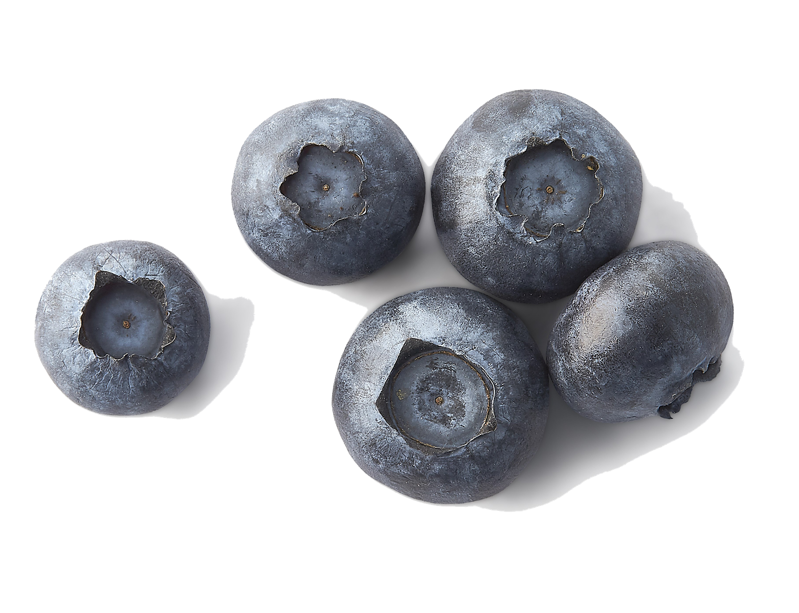 Blueberries PNG File