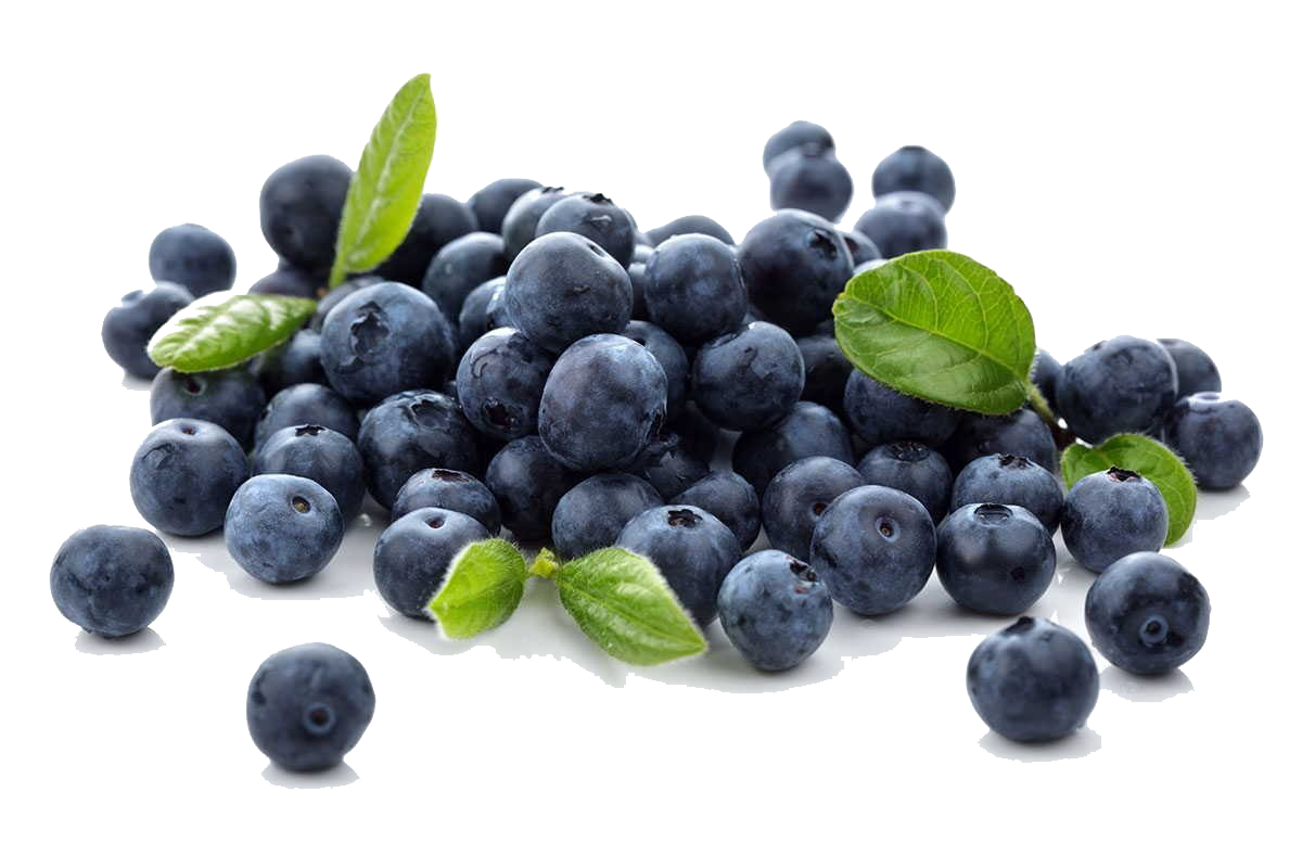 Blueberries PNG Free Download - PNG All