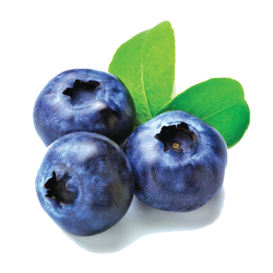 Blueberries PNG Free Image