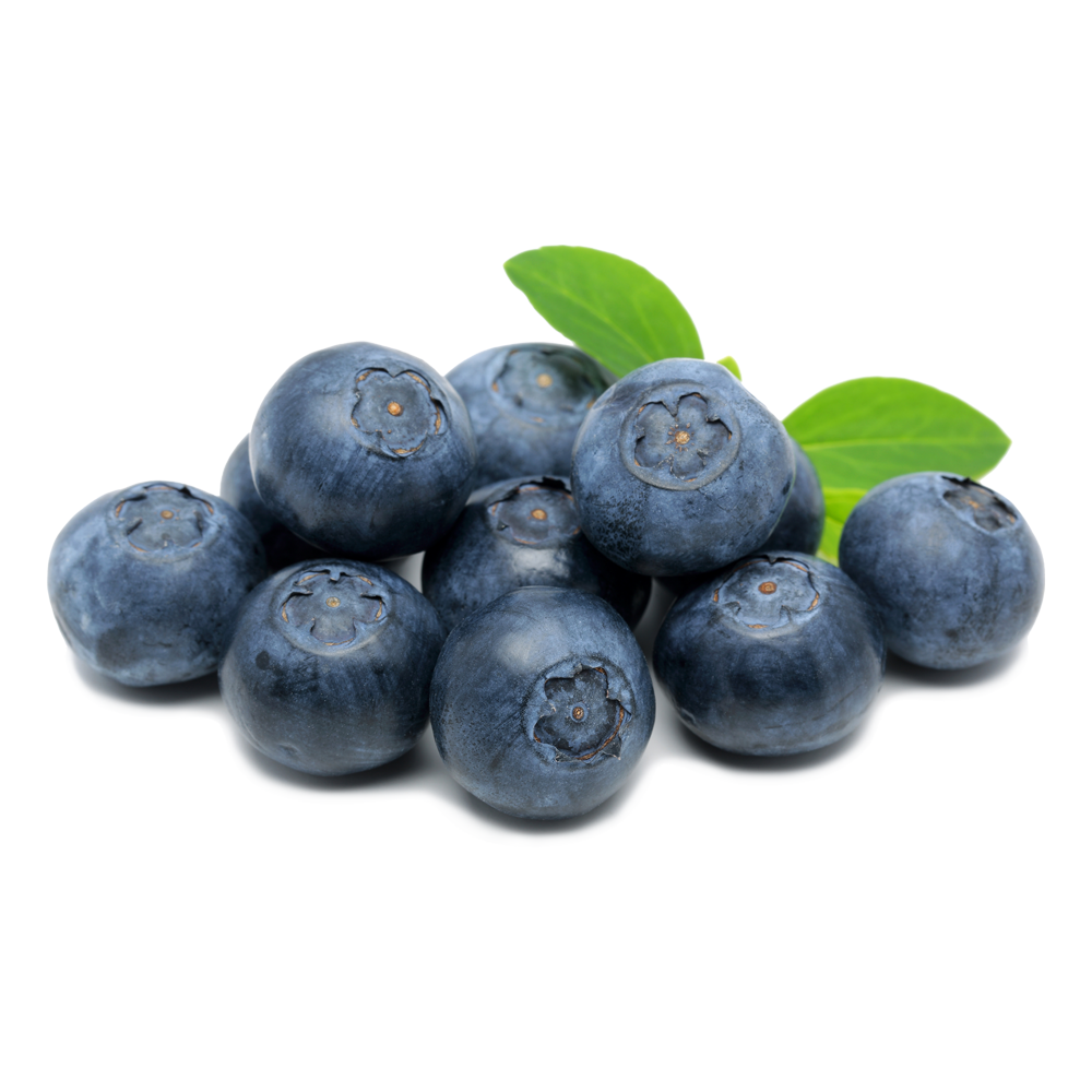 Blueberries PNG HD Image