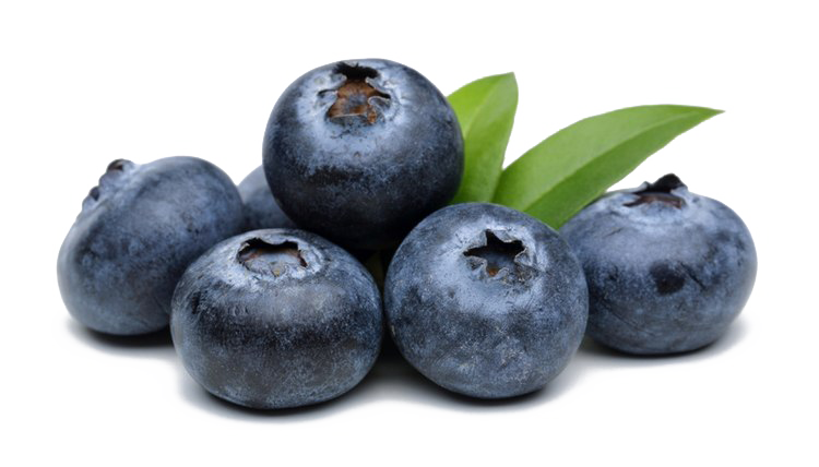 Blueberries PNG High Quality Image
