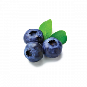 Blueberries PNG Image File