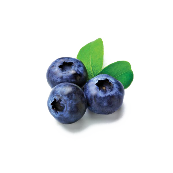 Blueberries PNG Image File