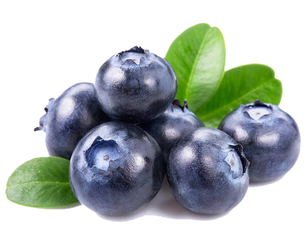 Blueberries PNG Image HD