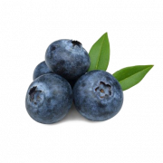Blueberries PNG Images