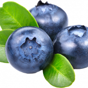 Blueberries PNG Pic