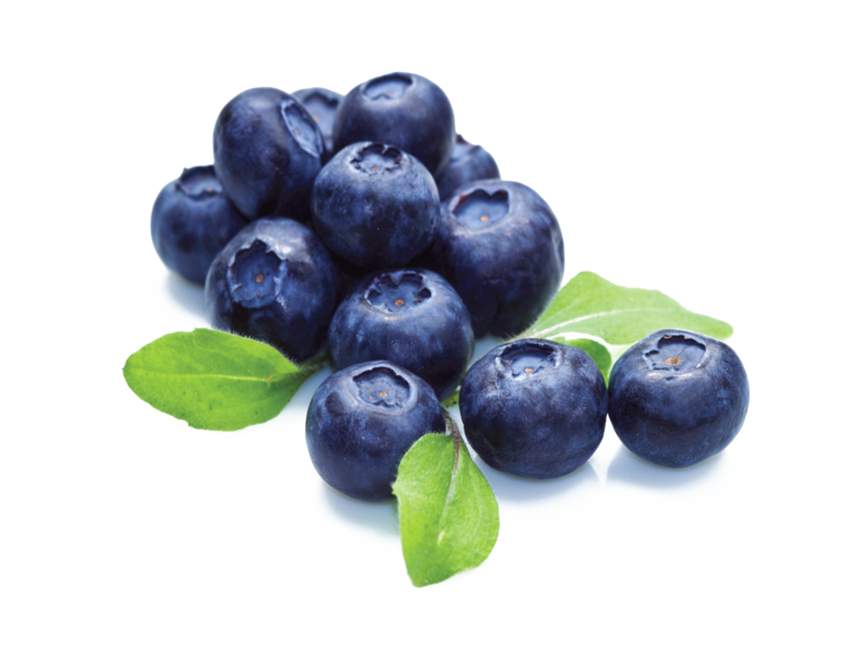 Blueberries Transparent