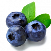 Blueberry Fruit PNG