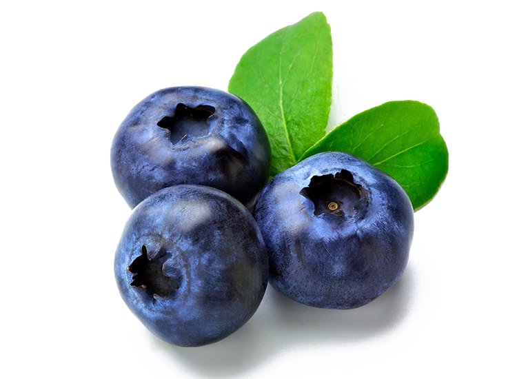 PNG Buah Blueberry