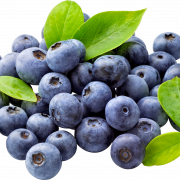 Blueberry Fruit Transparent