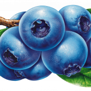 Blueberry PNG