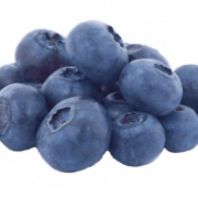 Blueberry PNG Download Image