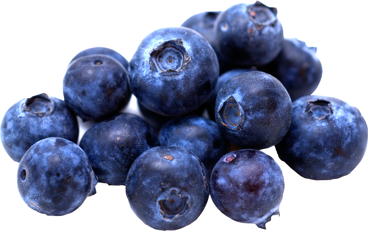 Blueberry PNG Free Download