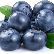 Blueberry PNG Free Image