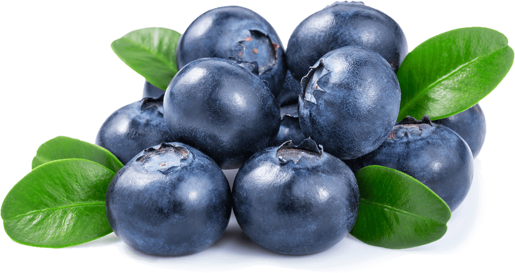 Blueberry PNG Free Image