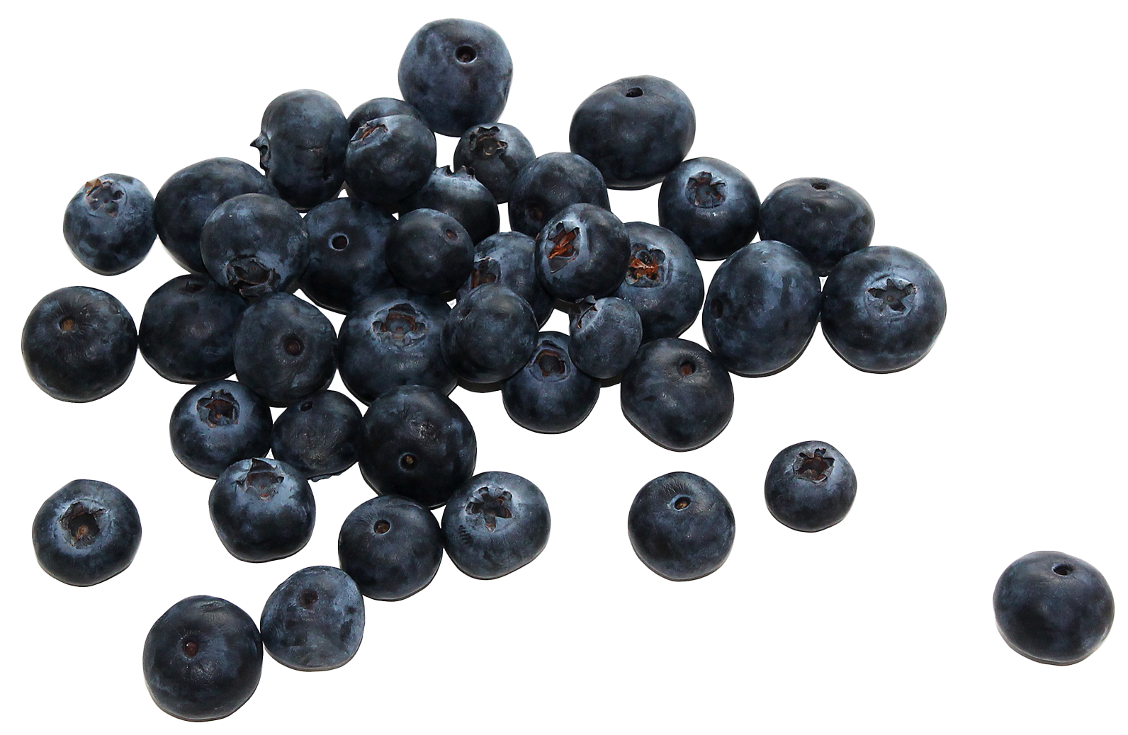 Blueberry PNG High Quality Image
