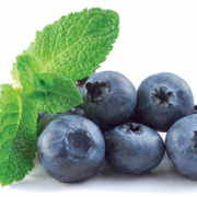 Blueberry PNG Image File