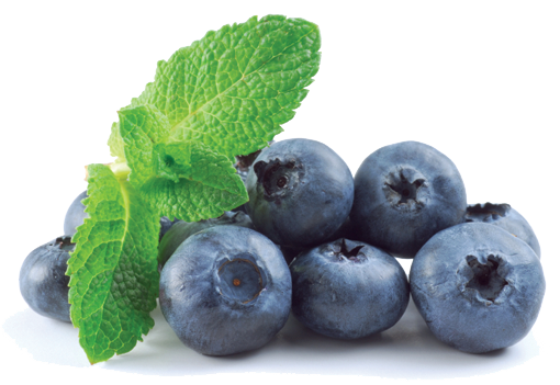 Blueberry PNG Image File