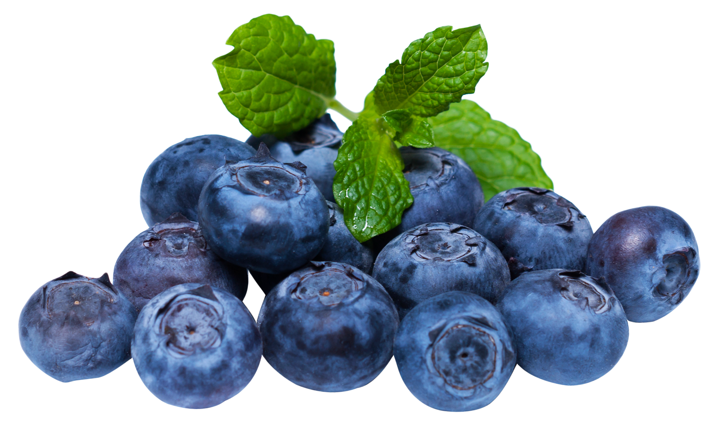 Blueberry PNG Picture