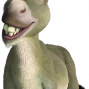 Donkey PNG Image File