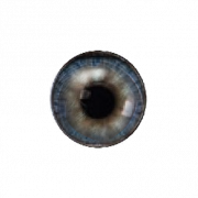 Eye Lens PNG Скачать изображение