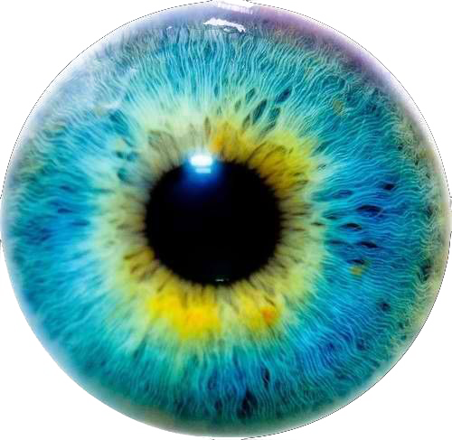 Eye Lens PNG File Download Free