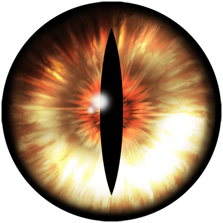 Eye Lens PNG High Quality Image - PNG All