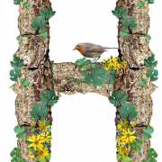 H Letter PNG Free Image