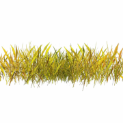 Hay PNG Clipart