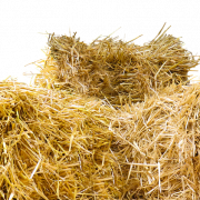File png hay