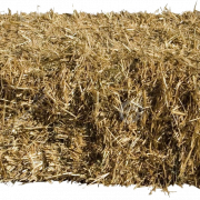 Hay PNG High Quality Image