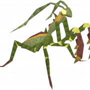 Mantis PNG Image File